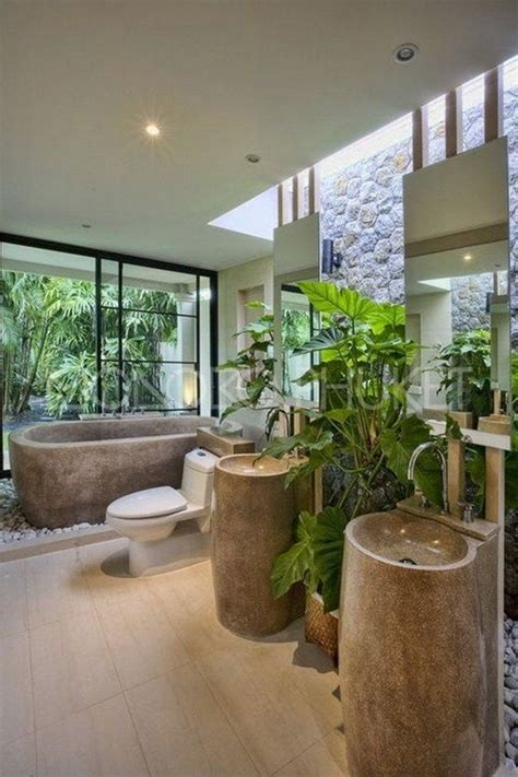 雙財庫意思 浴室可以放什麼植物